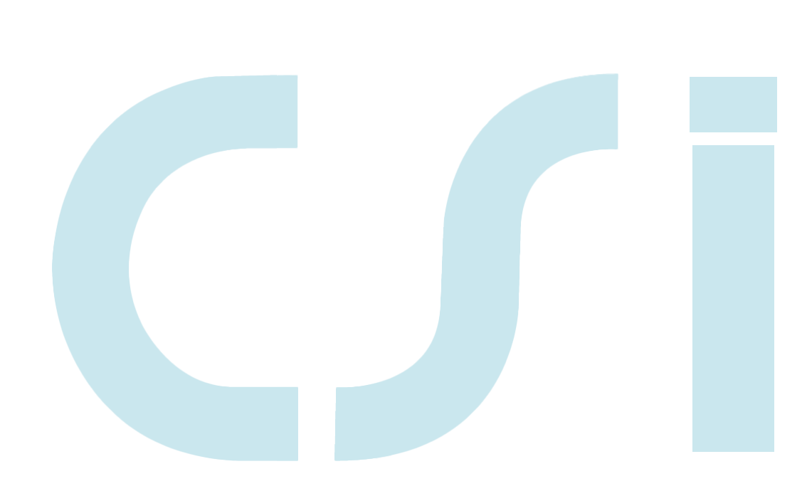 CSI LOGO by solvessoft